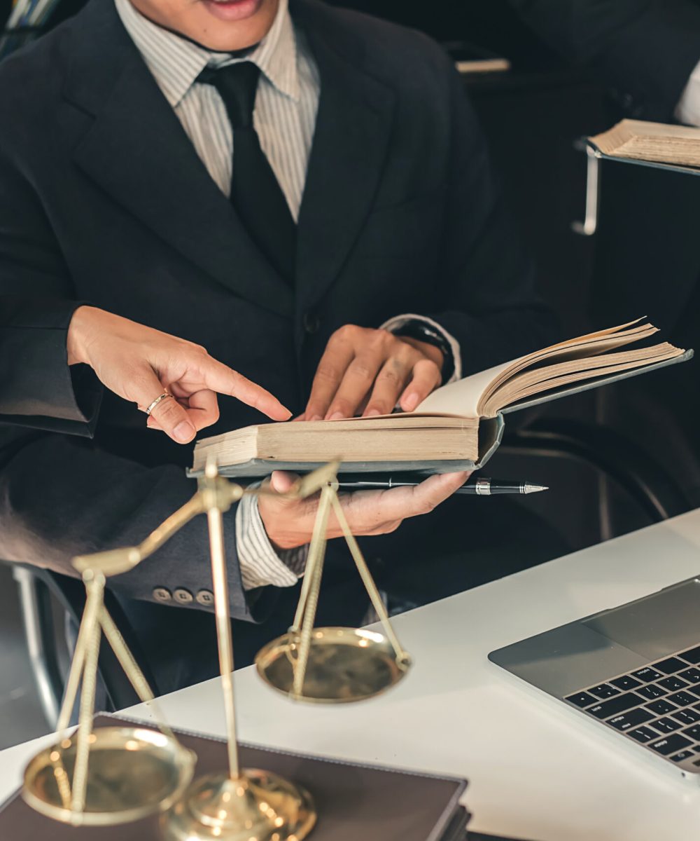 Asistencia legal profesional en juicios y litigios